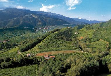 The Unseco World Heritage status is expected to provide the Prosecco DOCG Conegliano Valdobbiadene with additional long-term momentum. (Photo: Tenuta Rivetta)
