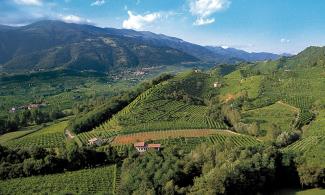 The Unseco World Heritage status is expected to provide the Prosecco DOCG Conegliano Valdobbiadene with additional long-term momentum. (Photo: Tenuta Rivetta)