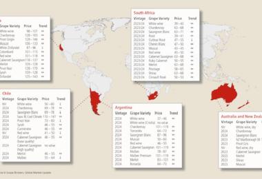 Source: Ciatti Global Wine & Grape Brokers, Global Market Update, export prices in €/hl