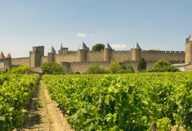 Carcassonne, the picturesque charm of its vineyards is misleading (Photo: javarman/stock.adobe.com)