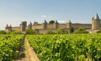 Carcassonne, the picturesque charm of its vineyards is misleading (Photo: javarman/stock.adobe.com)