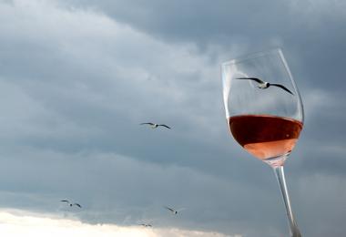 Zweigelt, Blaufränkisch, St. Laurent and Blauer Wildbacher are typical grape varieties for Austrian Rosé / Credit: ÖWM - Anna Stöcher
