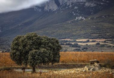 Basque Rioja Alavesa (Photo: DOCa Rioja)