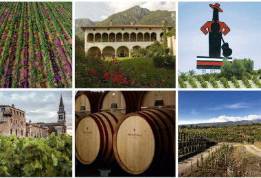 Families of wine