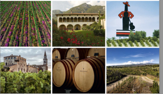 Families of wine