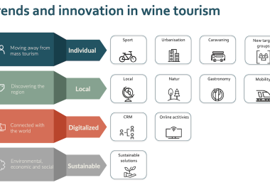 Trends in wine tourism (Geisenheim University)