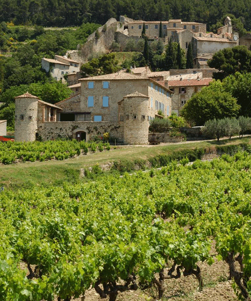 The appellation wants to answer the climate change question primarily with local varieties. (Photo: Ilka Kramer)