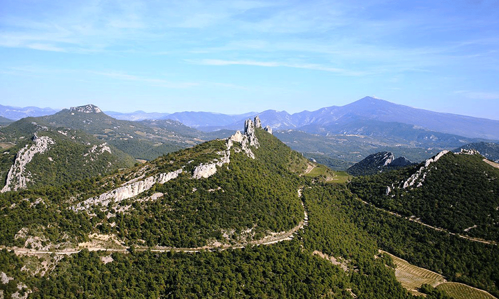Gigondas is characterized by the southern French limestone rock formations called Dentelles de Montmirail, which stand out from the landscape like spikes. (Photo: Ilka Kramer)