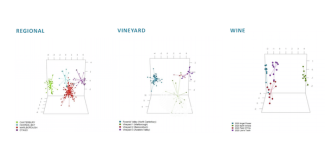 3d modelling of regions, vineyards and specific plots. Each dot represents one sample, with 10 samples of soil, grape and wine having been taken from each plot. The image on the right illustrates the four different Pyramid Valley wines.