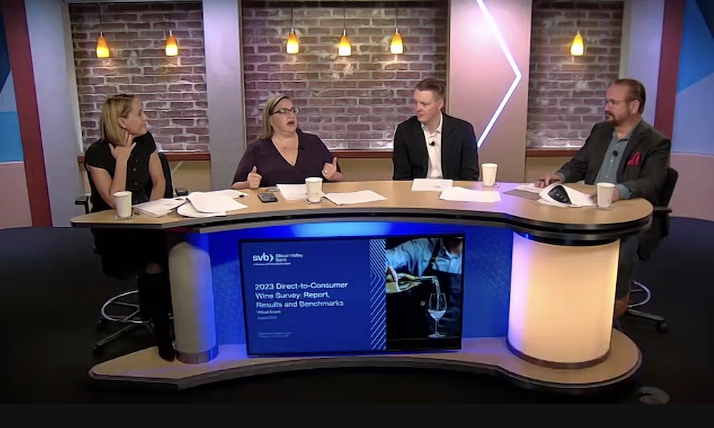 Jessica Kogan, Susan DeMatei, Andrew Walleck and Rob McMillan discussing the highlights of the SVB D2C report on 16 August 2023