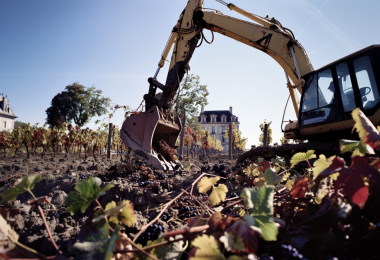 Vines being ripped up in France. Image: AI-Midjourney